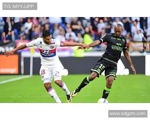 2019年2月尼奥特主场迎战南锡的精彩对决回顾与分析