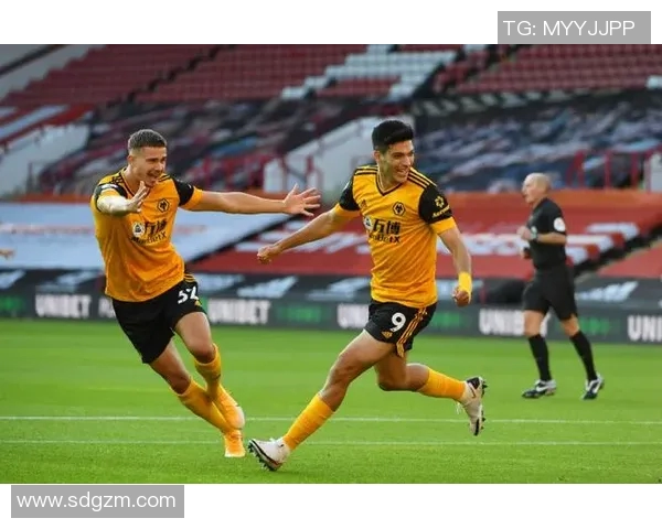 2018年英超精彩对决狼队与热刺的激烈较量回顾与分析